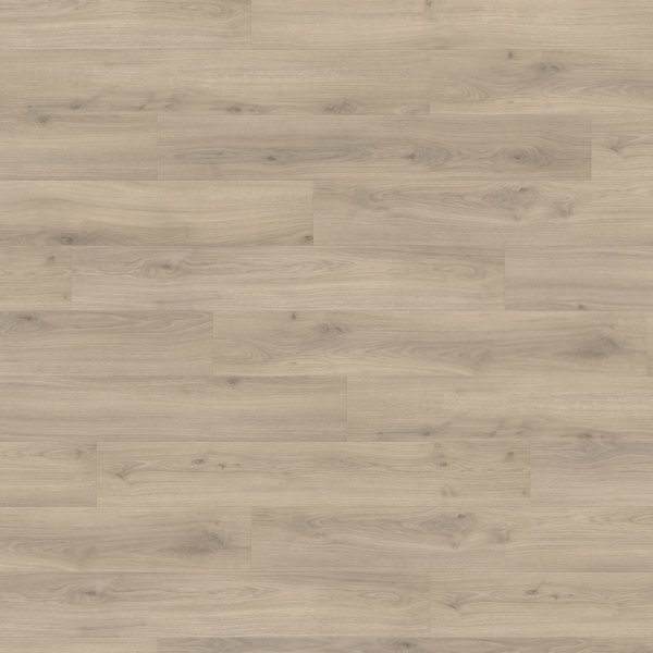 Laminate Haro Tritty 100 Oak Emilia Velvet Grey