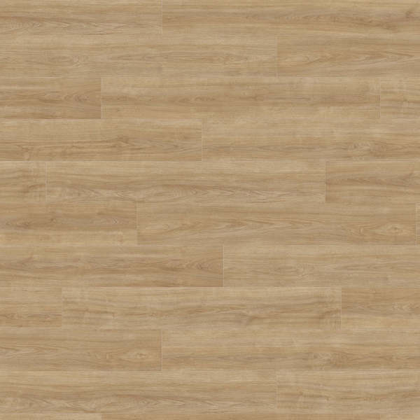 Laminate Haro Tritty 100 Oak Eleganza Puro