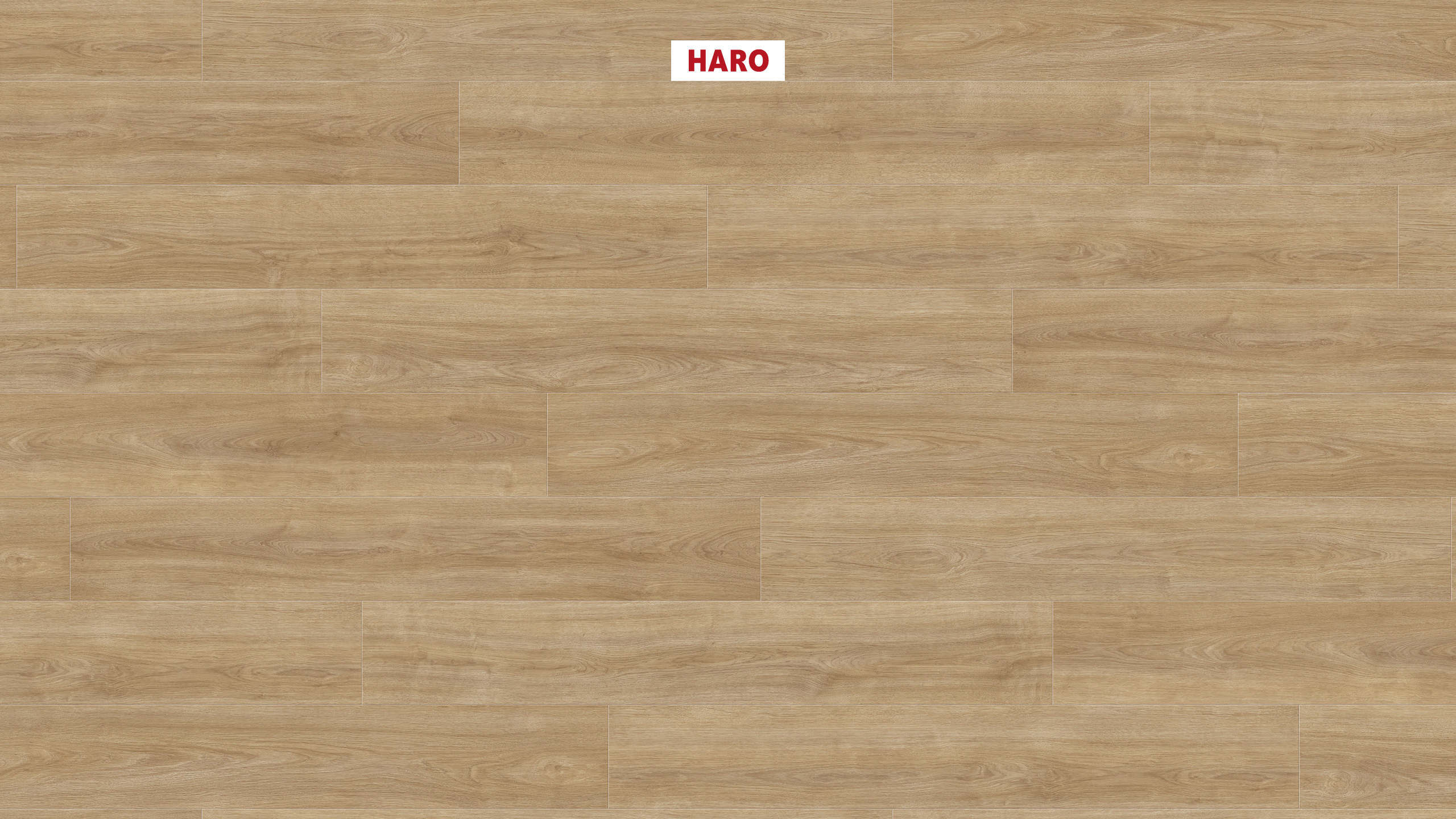 Laminate Haro Tritty 100 Oak Eleganza Puro 2