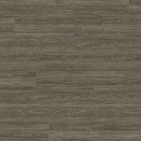 Laminate Haro Tritty 100 Oak Eleganza Antique Grey