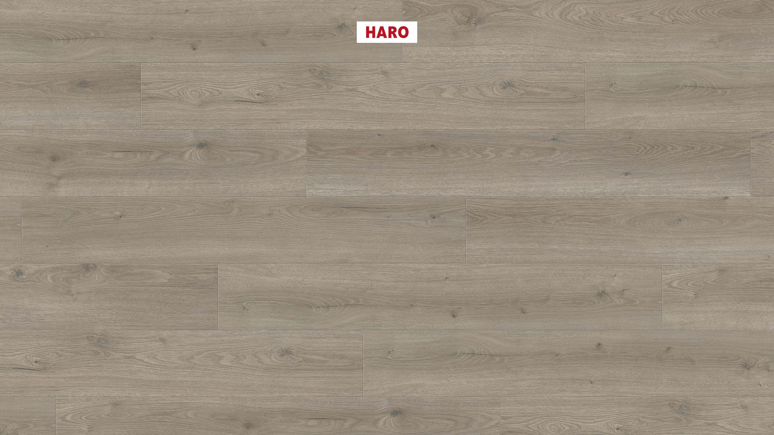 Laminate Haro Tritty 100 Oak Flavia Grey 3