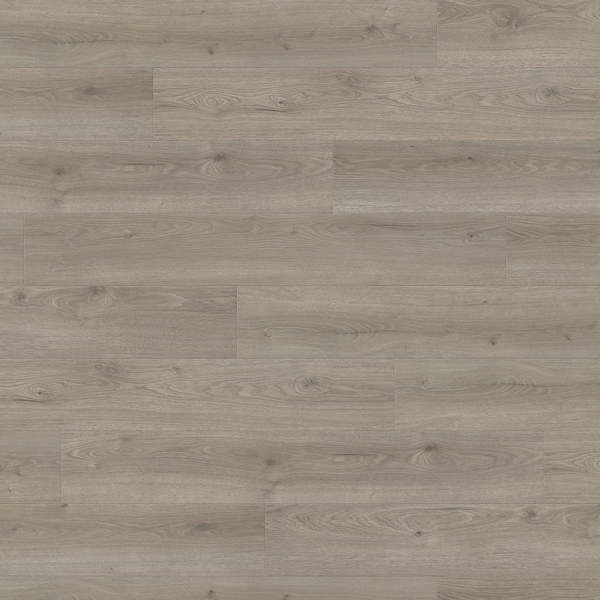 Laminate Haro Tritty 100 Oak Flavia Grey