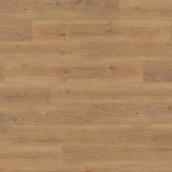 Laminate Haro Tritty 100 Oak Flavia Nature