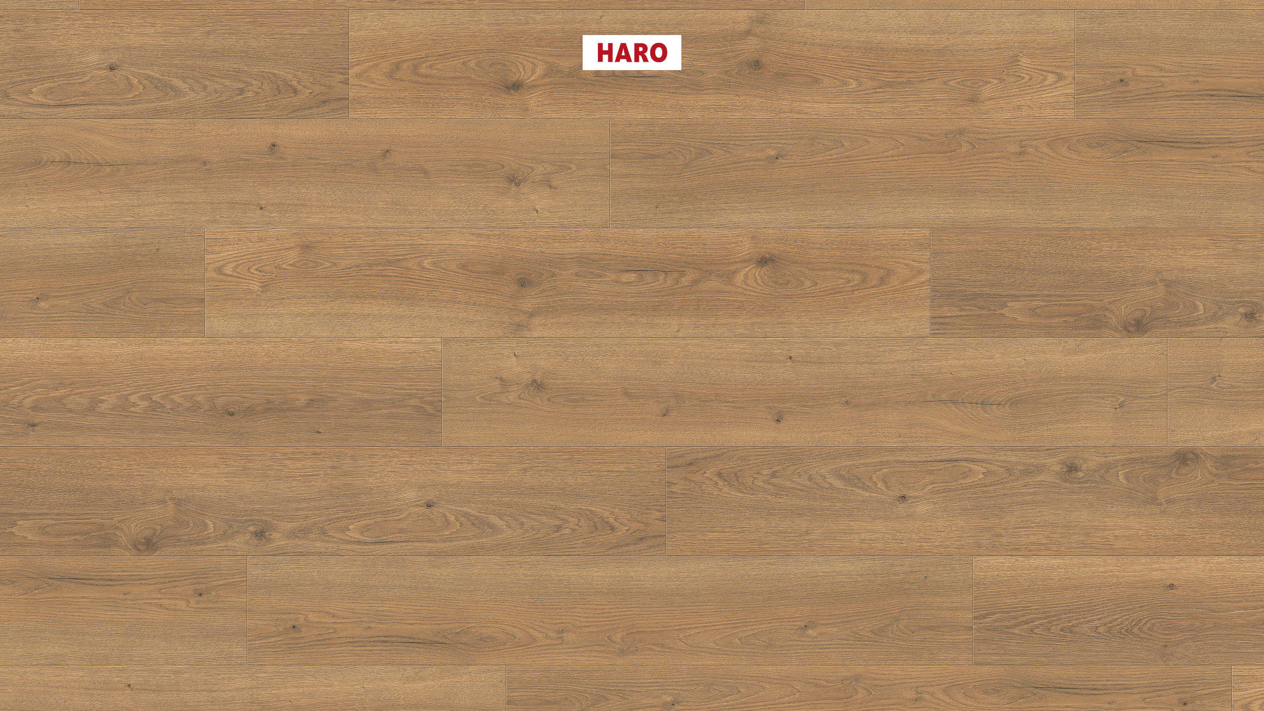 Laminate Haro Tritty 100 Oak Flavia Nature 3