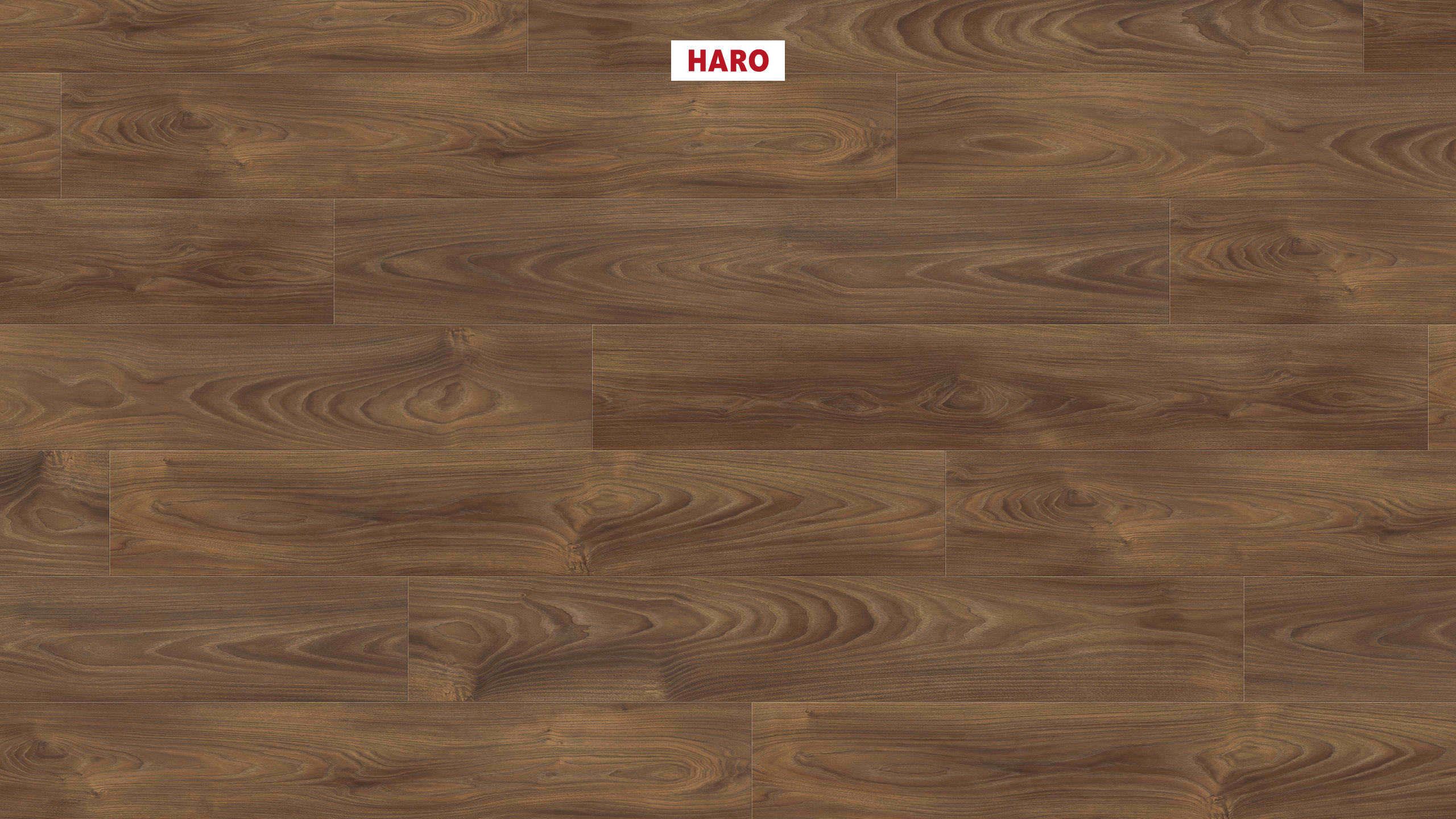 Laminate Haro Tritty 100 Walnut Vario 3