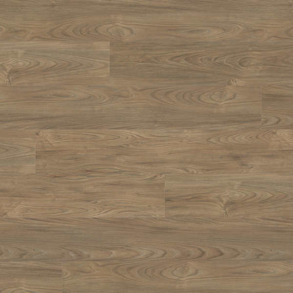Laminate Haro Tritty 100 Elm Vario