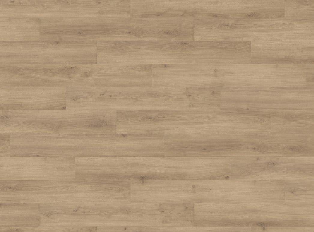 Laminate Haro Tritty 100 Oak Emilia Puro