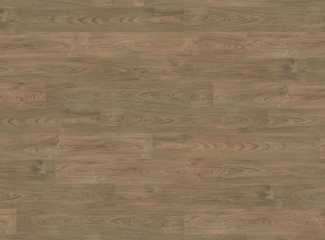 Laminate Haro Tritty 100 Elm Vario