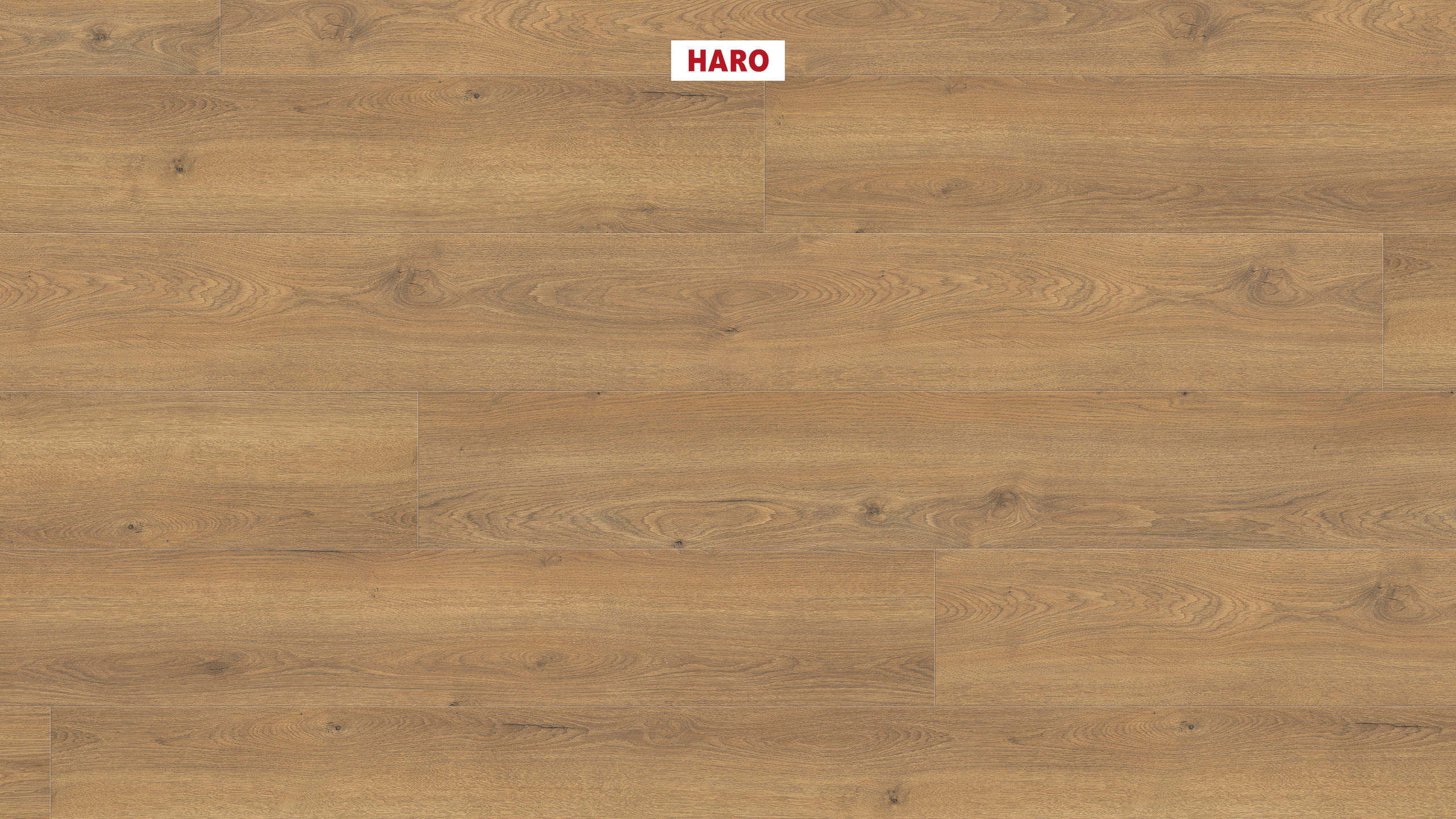 Ламінат Haro Tritty 100 Gran Via Дуб Флавія Натур